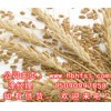 【常年(nián)大(dà)量收購】玉米玉米皮小麥麸皮次粉等